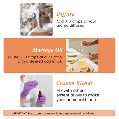 Handcraft Blends Tangerine Essential Oil – 4 oz, 100% Pure & Natural, Premium Grade
