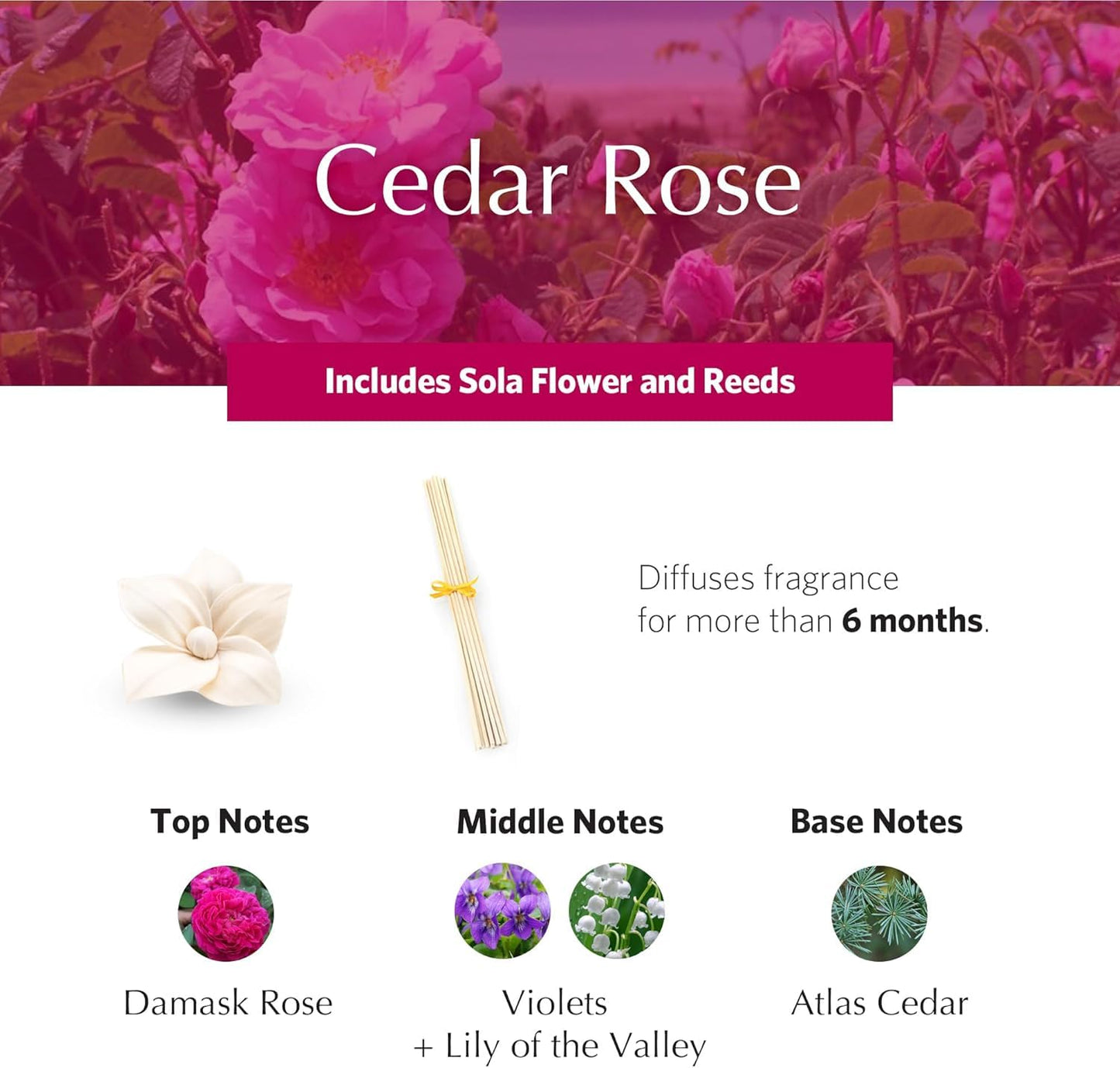 Cedar Rose Holiday PetiteEssence Diffuser 1.7oz | Premium Room Fragrance by Agraria