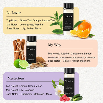 Hotel Luxury Waterless Diffuser Set – 10x20mL Essential Oils (My Way, Mysterious, Oud Wood, Bergamot)