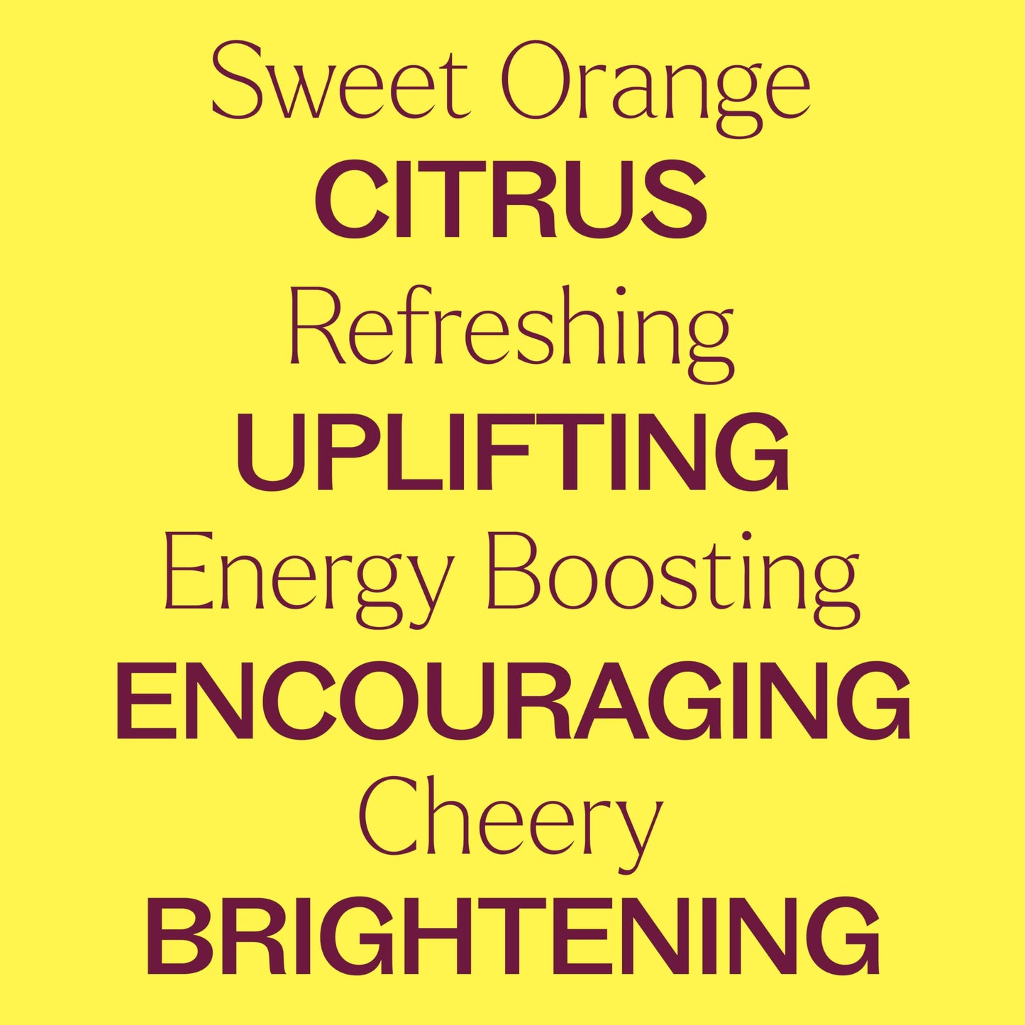 Plant Therapy Sweet Orange Essential Oil 30 mL | 100% Pure & Undiluted