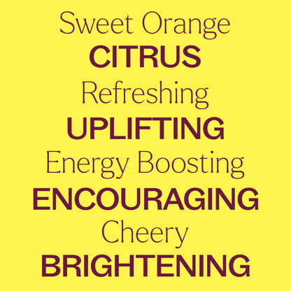 Plant Therapy Sweet Orange Essential Oil 30 mL | 100% Pure & Undiluted