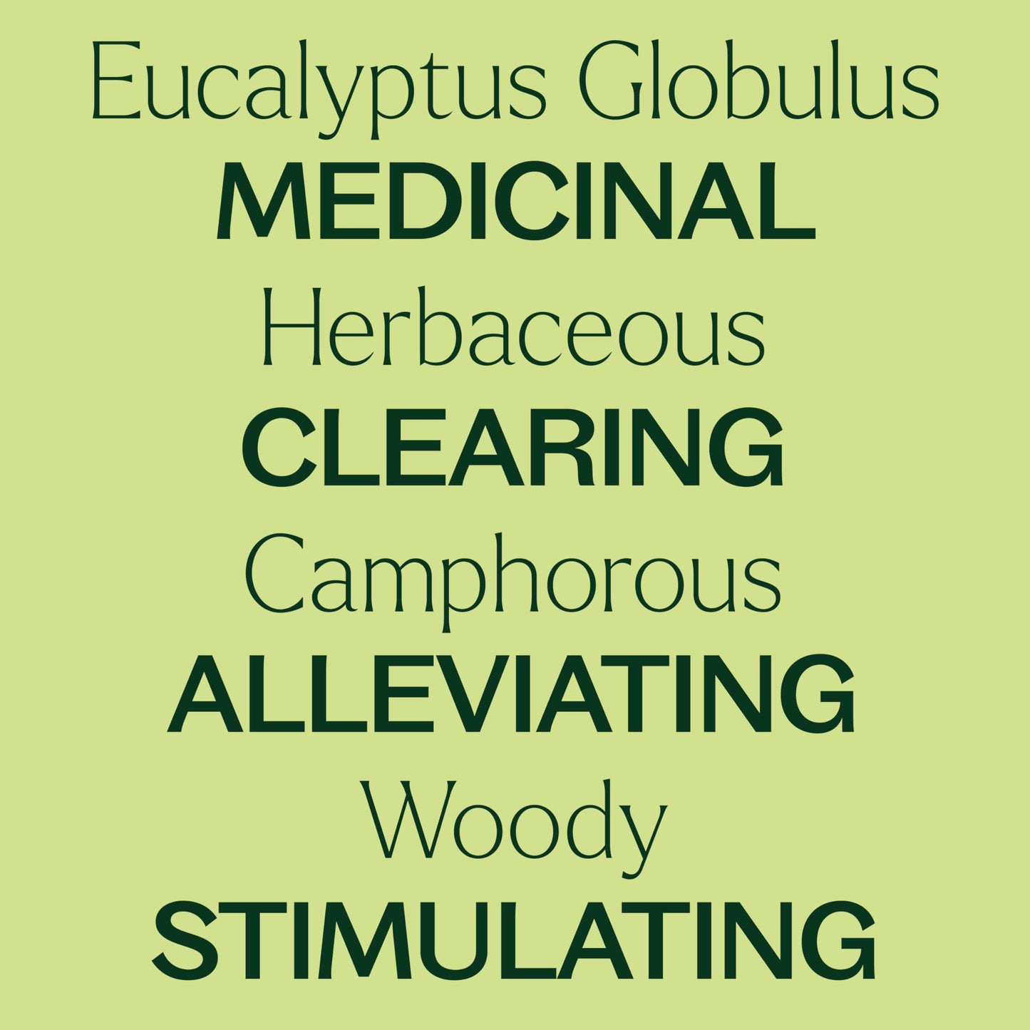 Plant Therapy Eucalyptus Globulus Essential Oil 100 mL (3.3 oz) | Pure & Therapeutic