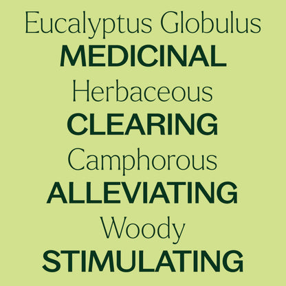 Plant Therapy Eucalyptus Globulus Essential Oil 100 mL (3.3 oz) | Pure & Therapeutic