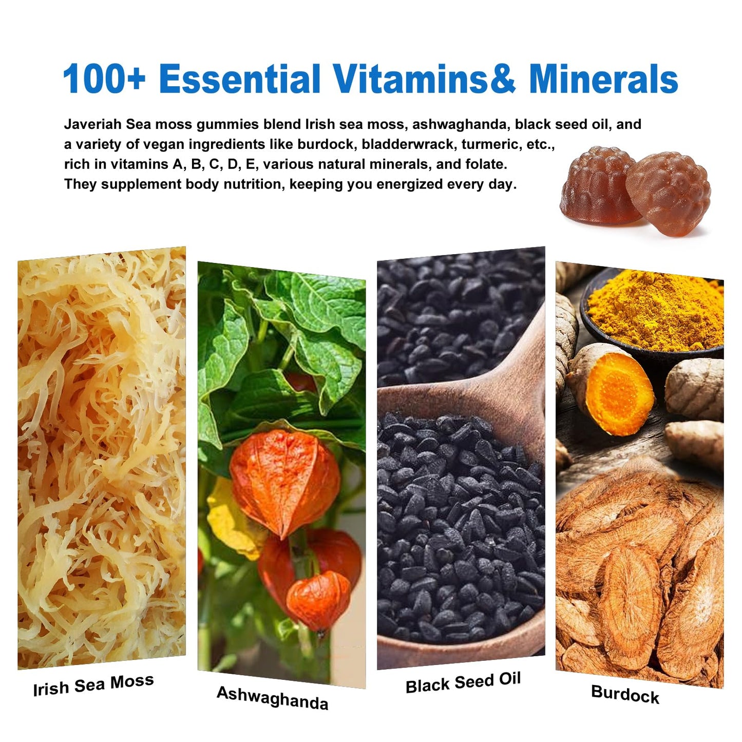 Vegan Ashwagandha Sea Moss Gummies - 60 Count | Immune Support, Digestive Health & 13-in-1 Bundle