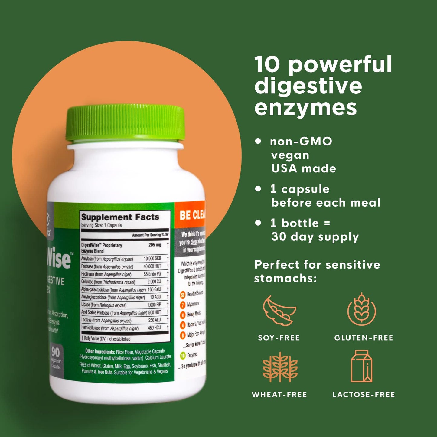 DigestWise Digestive Enzymes – 10 Vegan Enzymes for Digestion, Gas & Bloating | 90 Capsules
