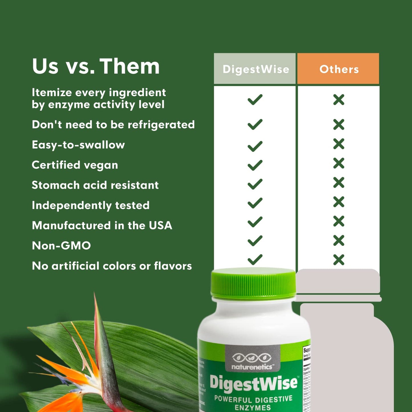 DigestWise Digestive Enzymes – 10 Vegan Enzymes for Digestion, Gas & Bloating | 90 Capsules