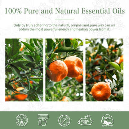 PHATOIL Tangerine Essential Oil 100ml – Aromatherapy, Diffusers, Candles & Soaps