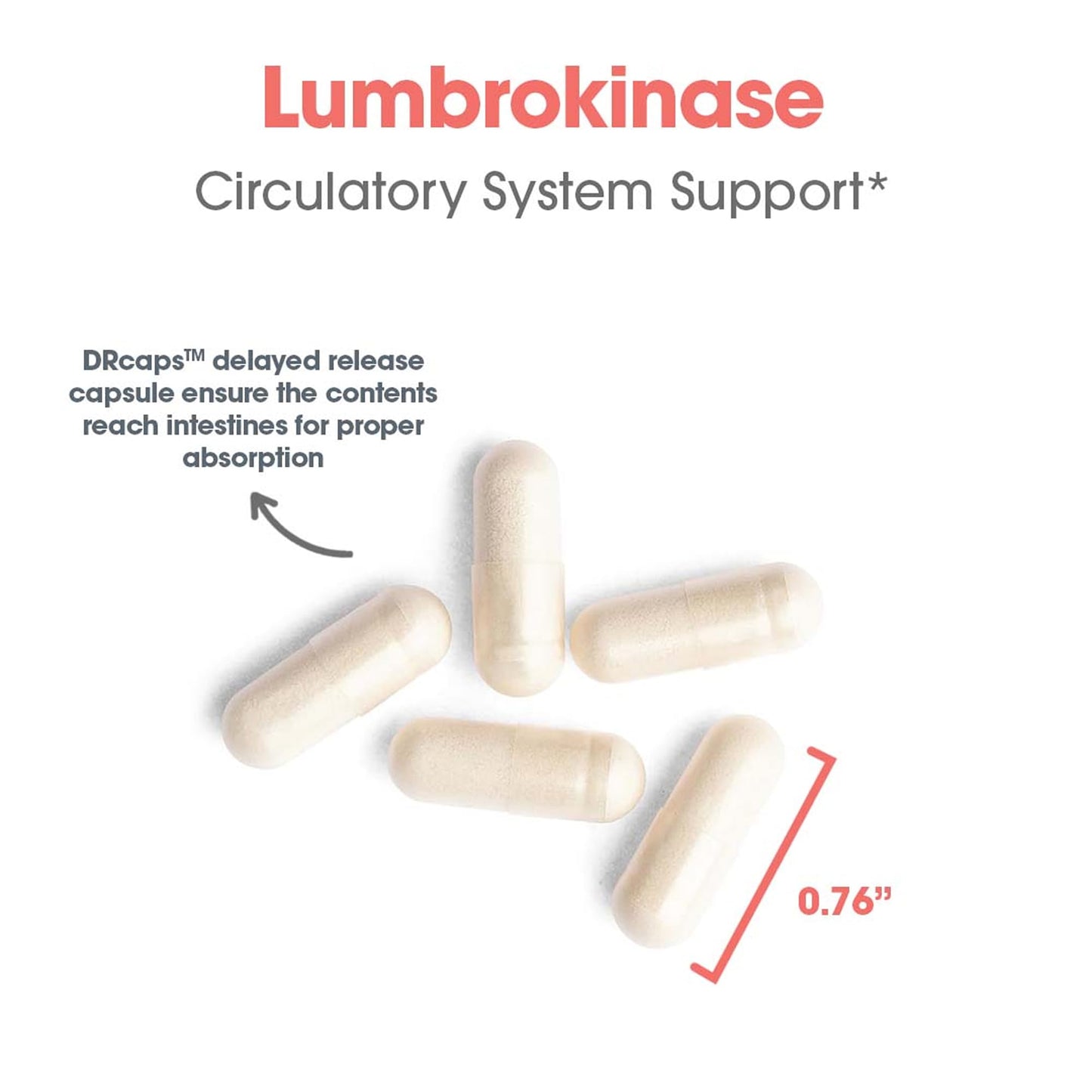ARG Lumbrokinase Circulatory System Support – Delayed-Release Enzyme Supplement | Allergy Research Group