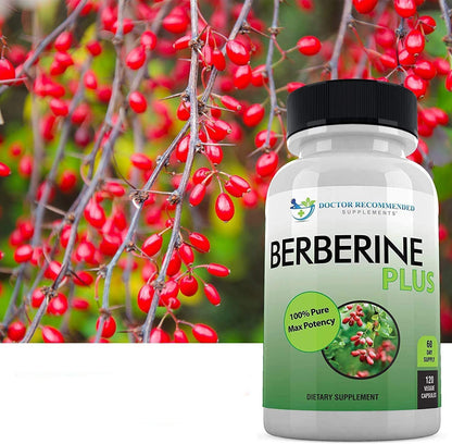 Berberine Plus 1200 mg | Doctor Recommended Supplements | 120 Veggie Capsules (Pack of 2)