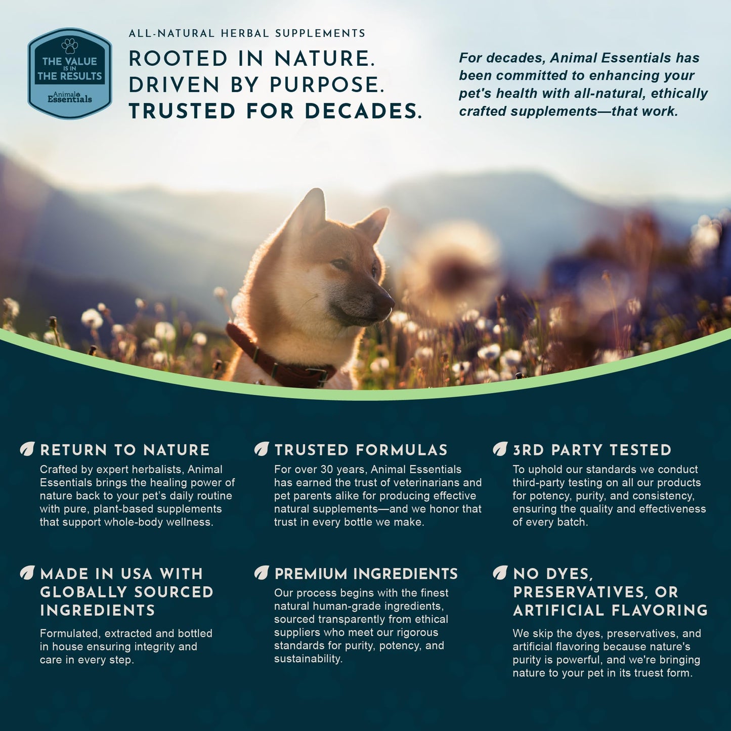 Animal Essentials Hawthorn Berry Supplement for Dogs & Cats – Heart Health Support