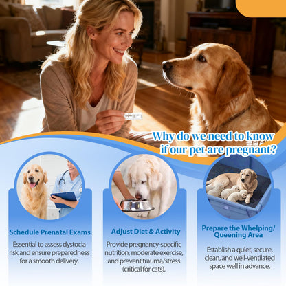 2 Pack Dog and Cat Pregnancy Test Kit — At-Home, 5–10 Minute Results