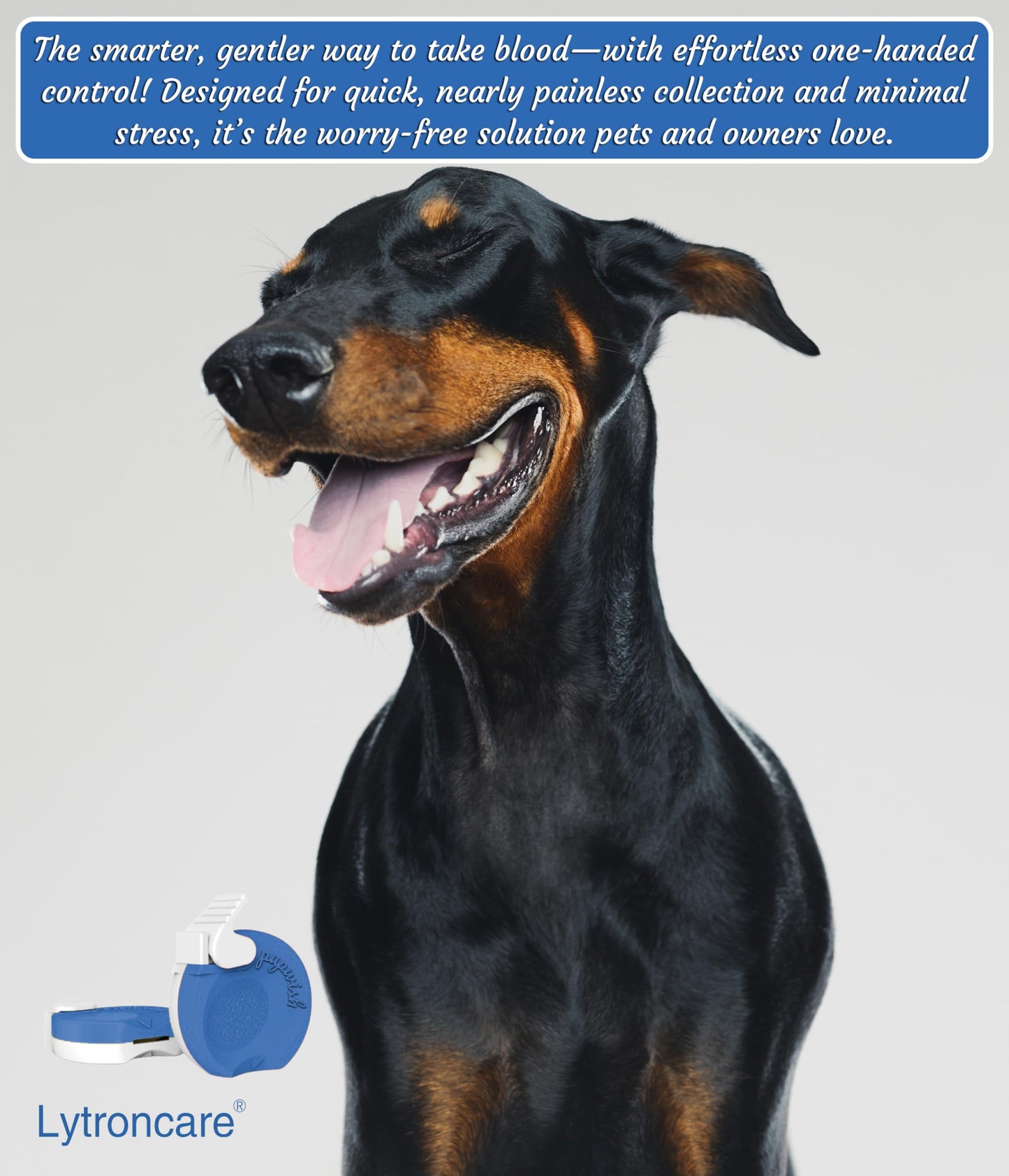 Dog Pregnancy Test Kit at Home- 5-Min Results, Painless & Clean (No Blood Draw), 99% Accurate for Breeders & Owners
