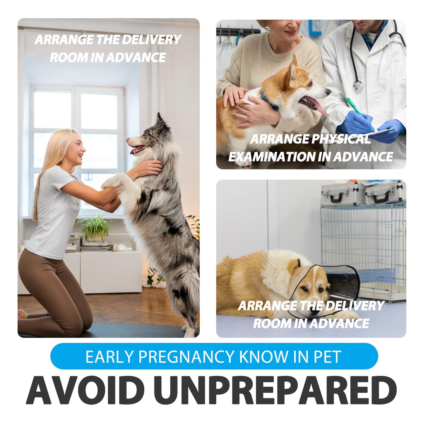 Dog Pregnancy Test Kit - Fast & Accurate Detection | Disposable Pet Equipment