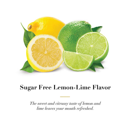 DOOLITTLE Dr Sugar Free Soft Fruit Pastilles for Voice and Throat – Lemon Lime, 2.12 oz Tin, Approximately 25 Count