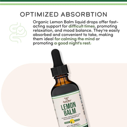 Organic Lemon Balm Tincture 590mg – Digestion & Relaxation, 2 oz | 120 Servings