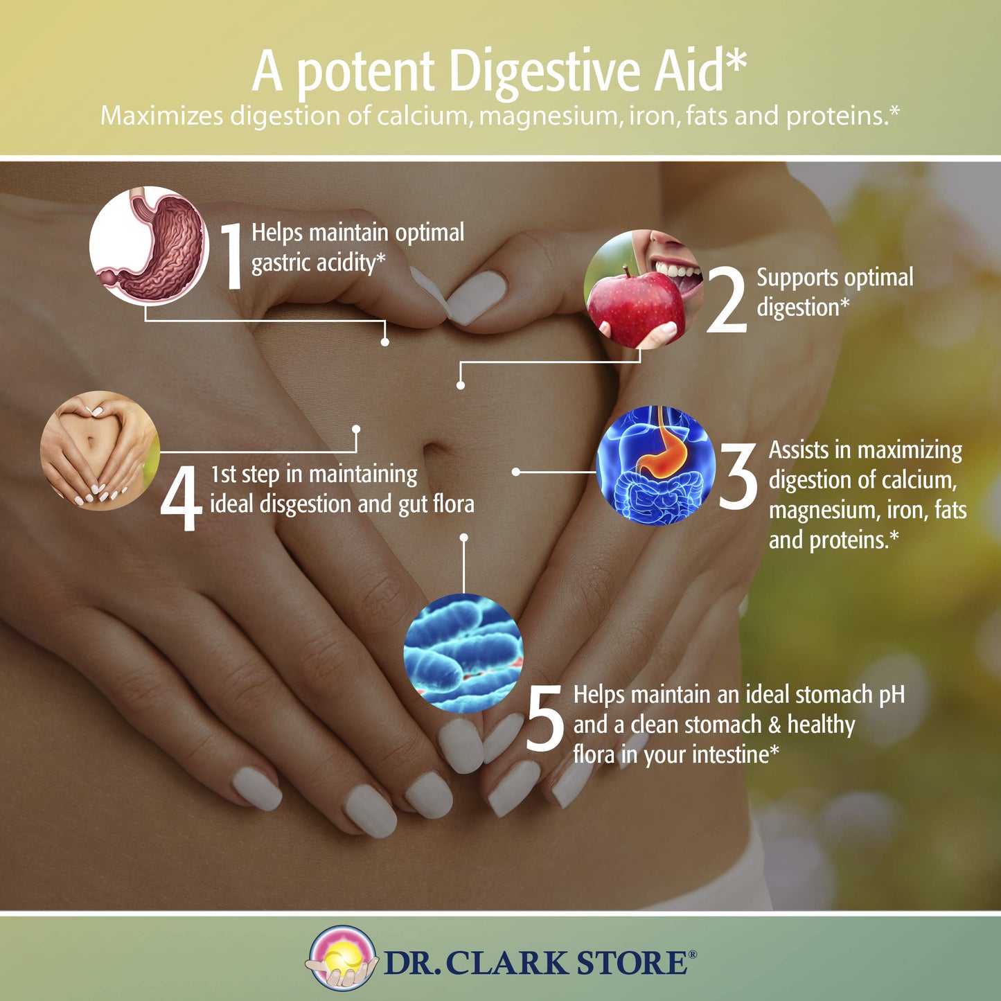 Dr Clark Betaine HCL Digestive Enzymes – 2 Pack, 100 Capsules, 425 mg
