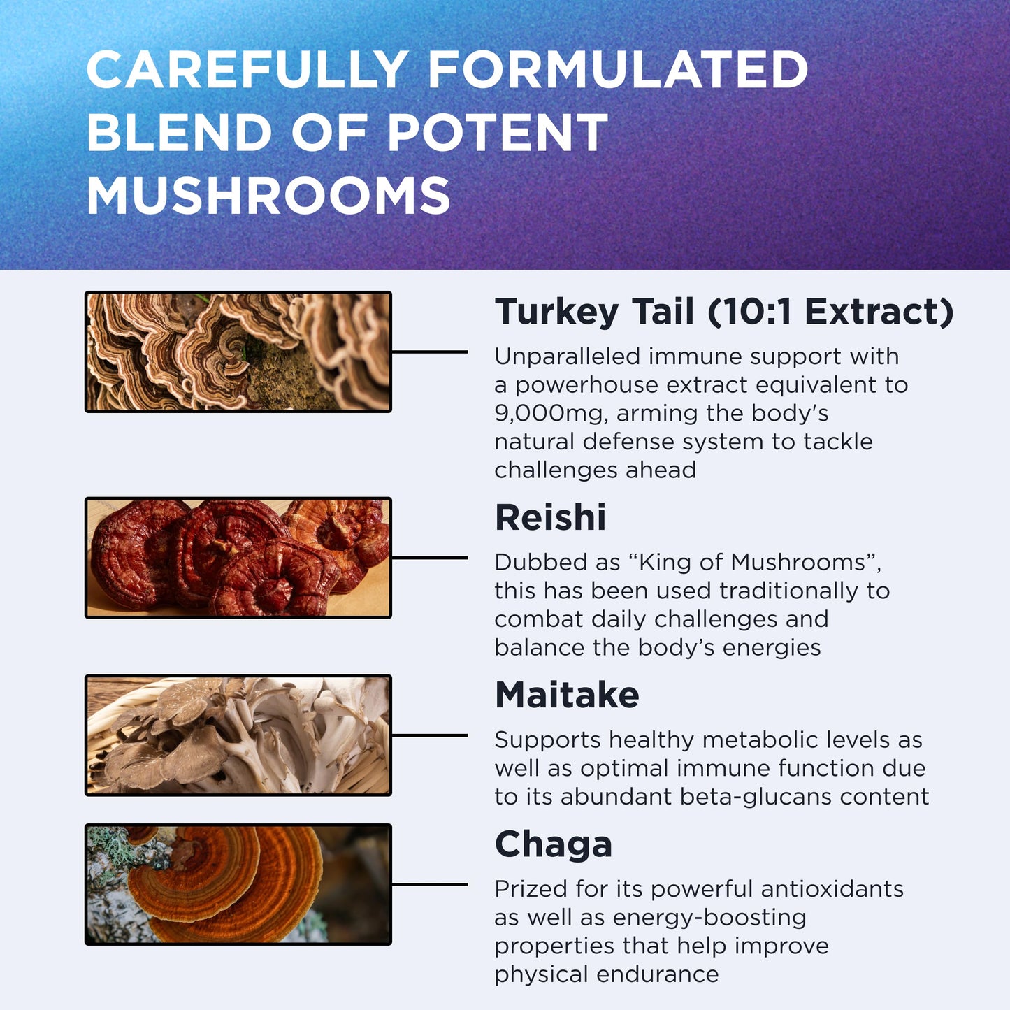 Dr. Emil Nutrition Elite Turkey Tail Twin Pack | Immune & Gut Health