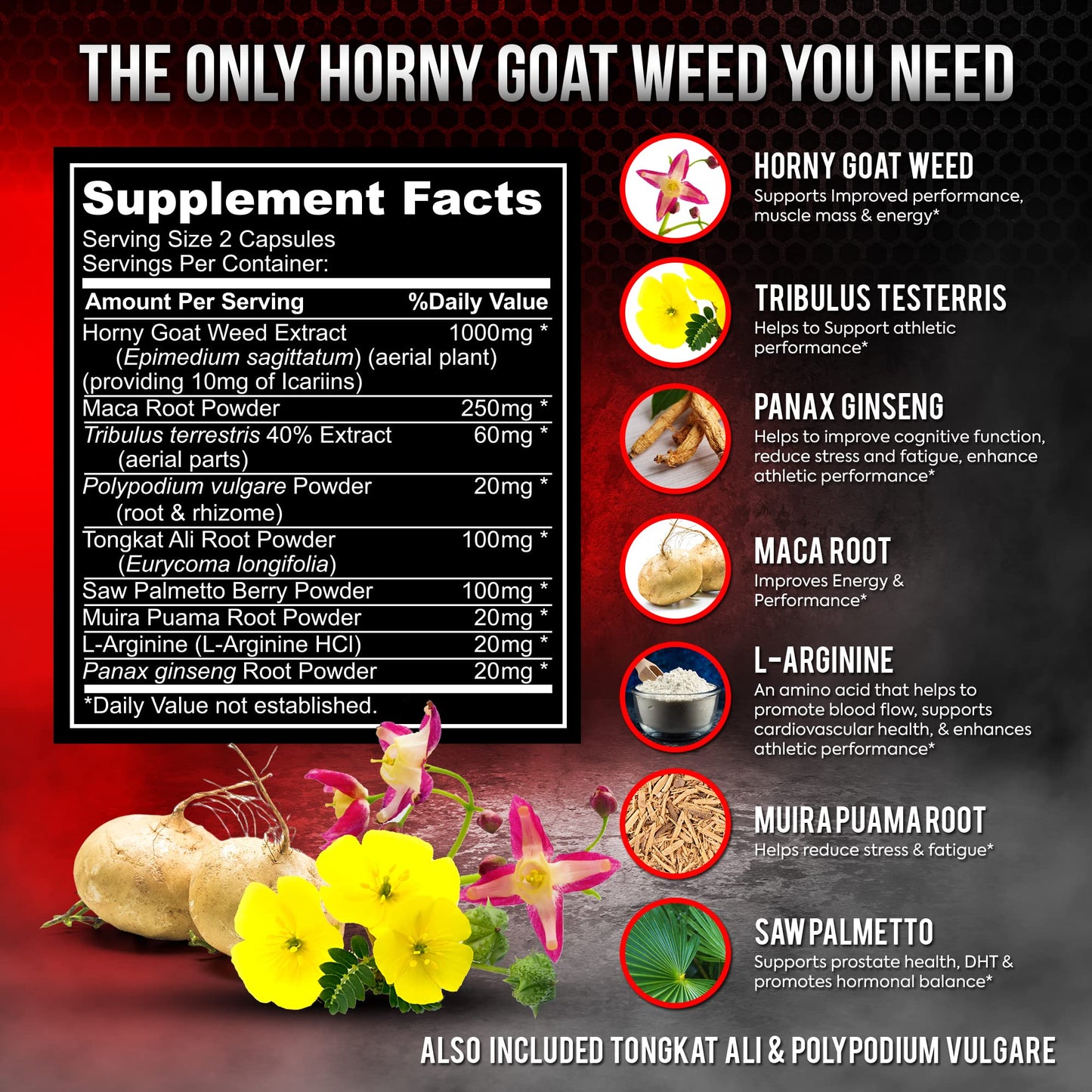 DR. MARTIN'S NUTRITION Super Strength Horny Goat Weed 1590mg – 240 Capsules (Pack of 2)