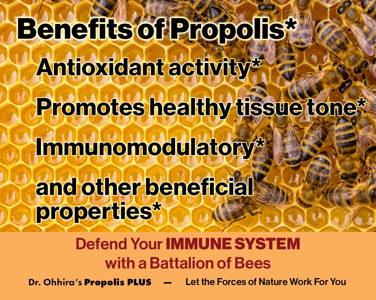 Dr. Ohhira's Propolis Plus 60 Capsules with Brazilian Green Propolis, Probiotic Extract and Astaxanthin