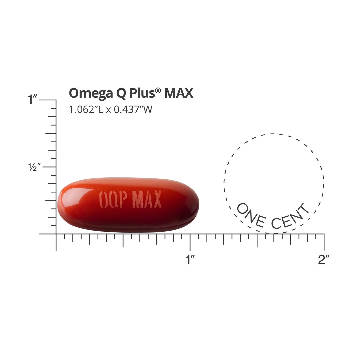 Dr. Sinatra Omega Q Plus MAX – Advanced Omega-3 + CoQ10 Turmeric for Heart Health & Healthy Aging | 60 Softgels