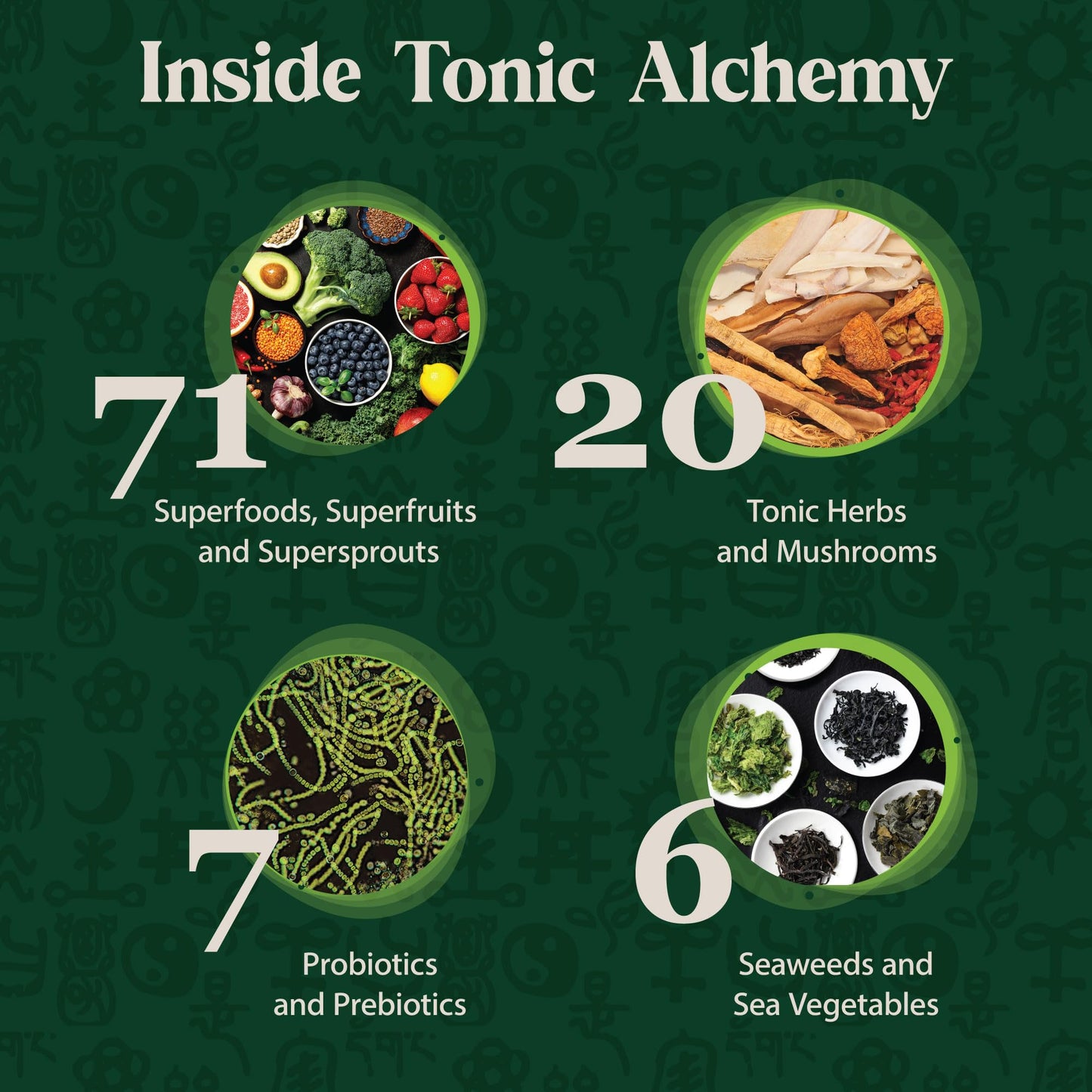 Dragon Herbs Tonic Alchemy Superfood Greens Powder with 91 Ingredients | 30 Servings