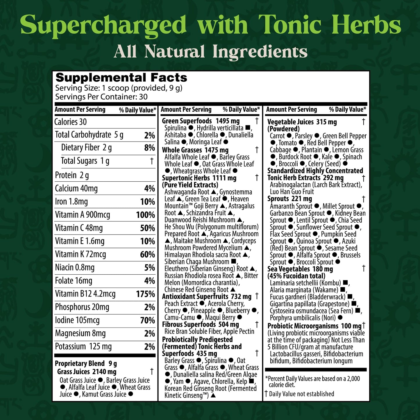 Dragon Herbs Tonic Alchemy Superfood Greens Powder with 91 Ingredients | 30 Servings