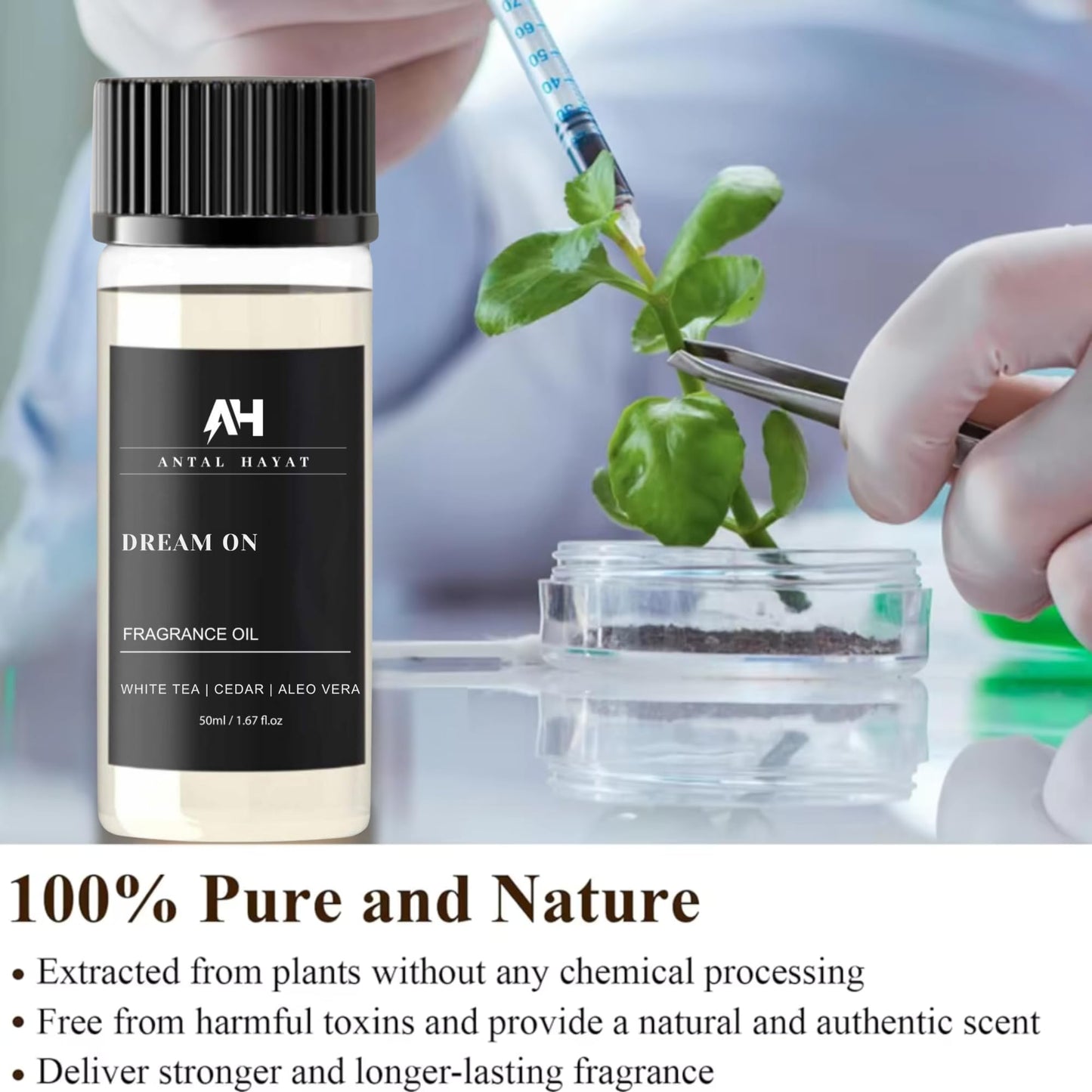 Antal Hayat Dream On 50mL Essential Oil – Westin Hotel Inspired Home Luxury Diffuser Oil