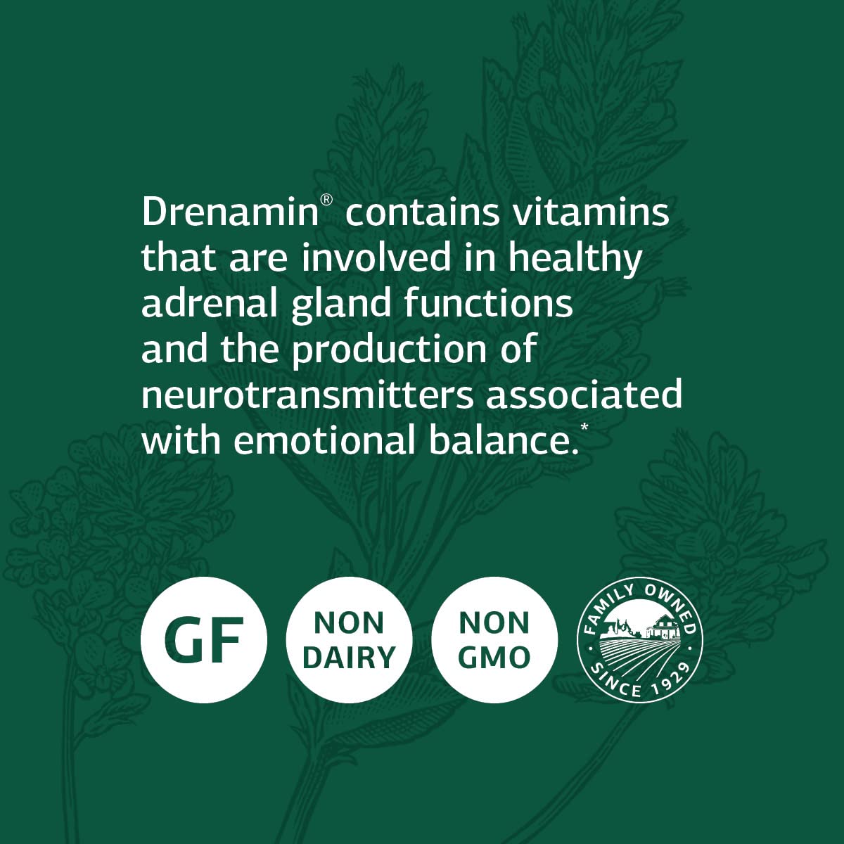 Drenamin Adrenal Support by Standard Process | Gluten-Free, Non-Dairy & Non-Soy | 90 Tablets