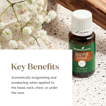 Young Living Eucalyptus Globulus Essential Oil 15ml – Pure & Revitalizing Aromatherapy | Topical & Aromatic Support