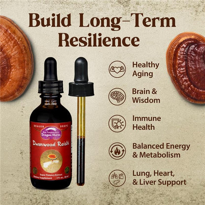 Dragon Herbs Duanwood Reishi Drops – Organic Mountain Grown Mushroom Tincture