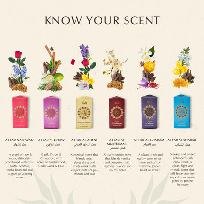 Dukhni Yemeni Attar Oil Set – 6 Arabic Oud Perfume Oils (6ml each) | Alcohol Free & Vegan