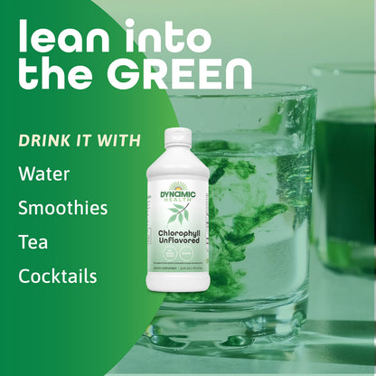 Dynamic Health Liquid Chlorophyll Unflavored 100 mg | Chlorophyllin with Alfalfa & Mulberry Leaves | 16 Fl Oz