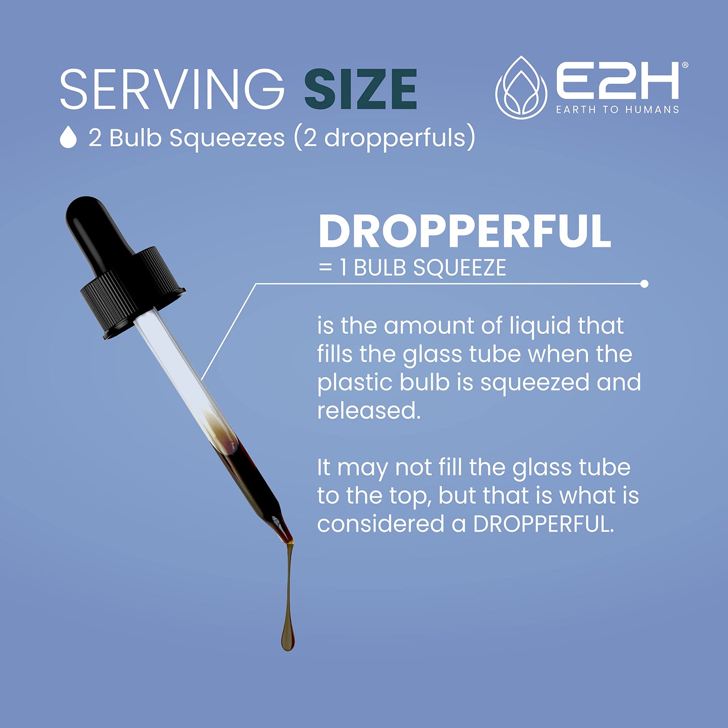 E2H Natural Black Currant Extract – Cold Pressed Seed, Immune Support, Fast-Absorbing Liquid (2 Bottles)