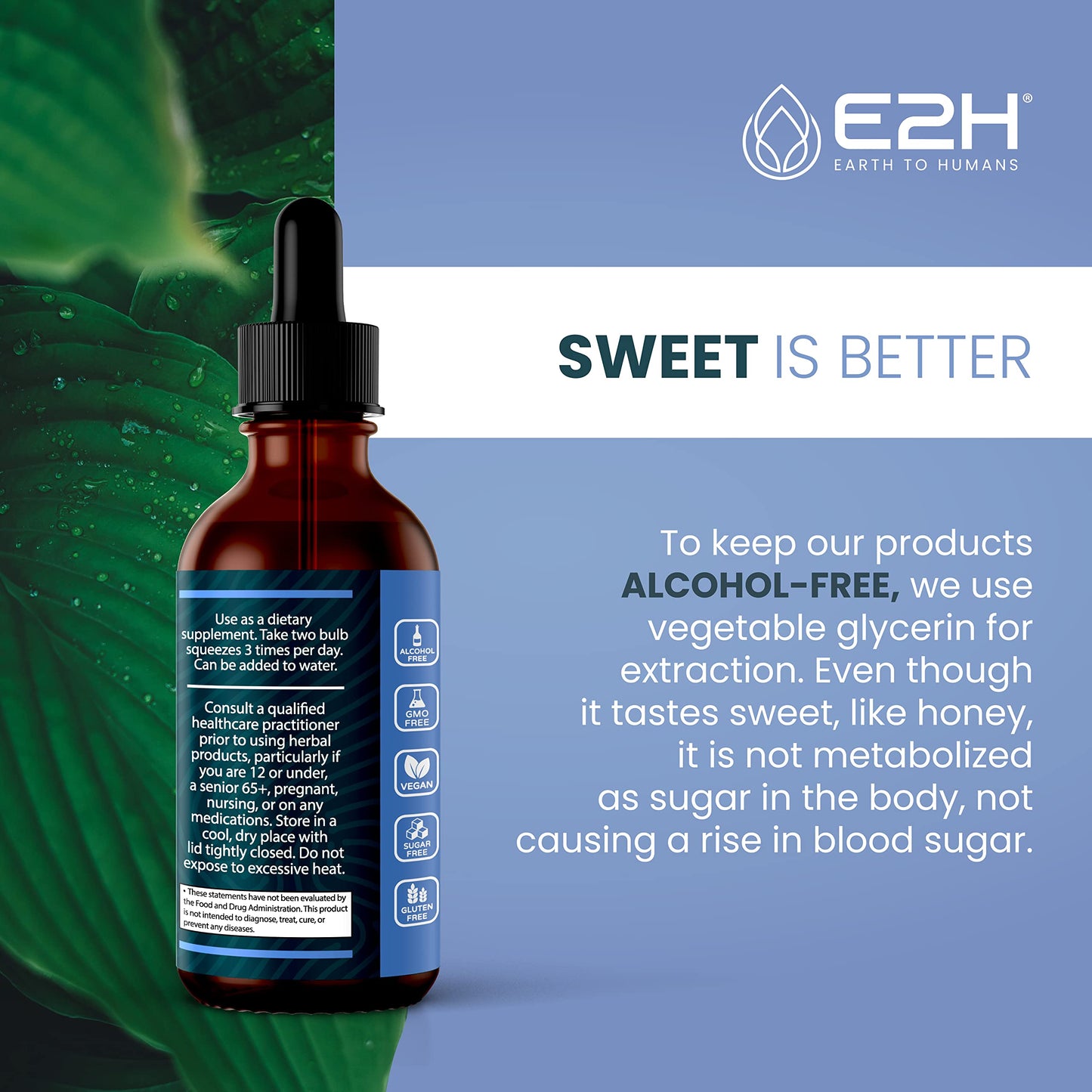 E2H Natural Black Currant Extract – Cold Pressed Seed, Immune Support, Fast-Absorbing Liquid (2 Bottles)