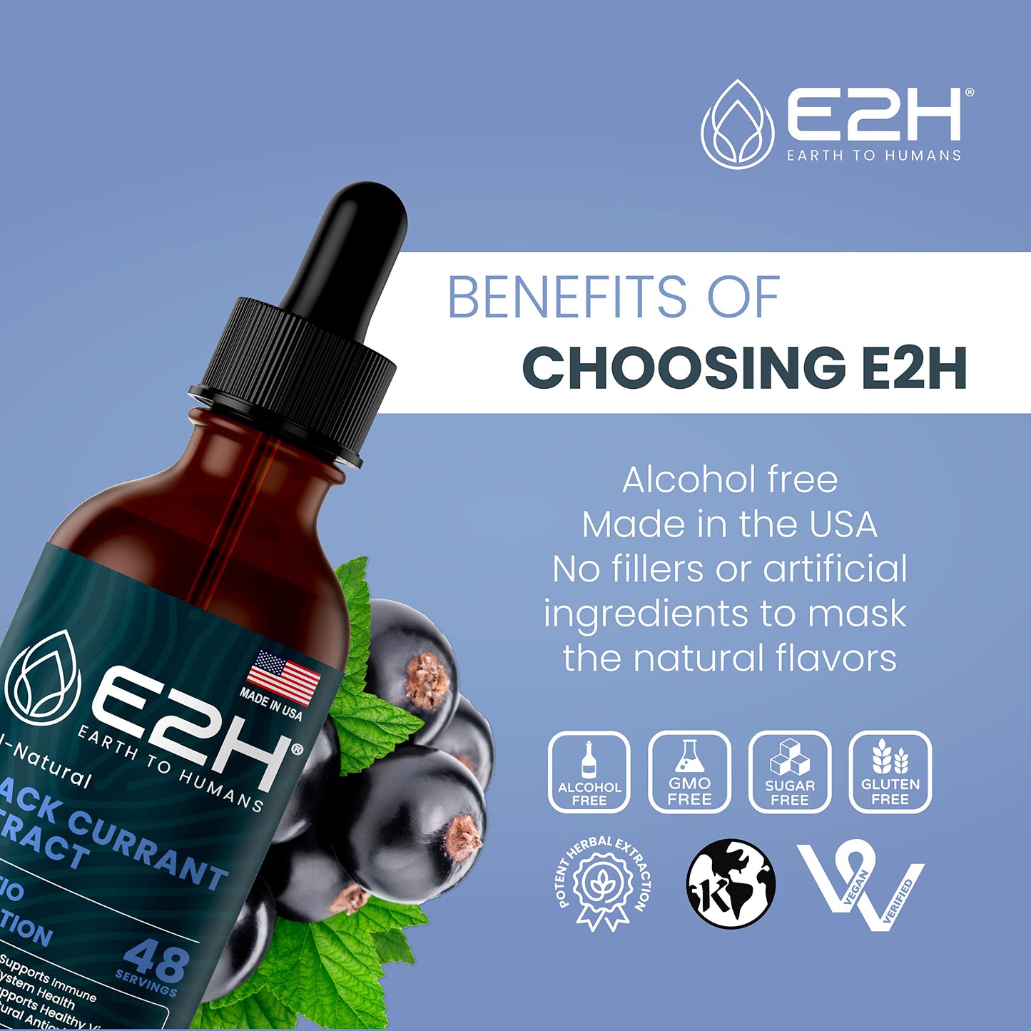 E2H Natural Black Currant Extract – Cold Pressed Seed, Immune Support, Fast-Absorbing Liquid (2 Bottles)