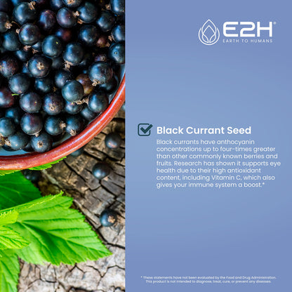 E2H Black Currant Extract - Cold-Pressed Seed, Immune Support (3 Bottles)
