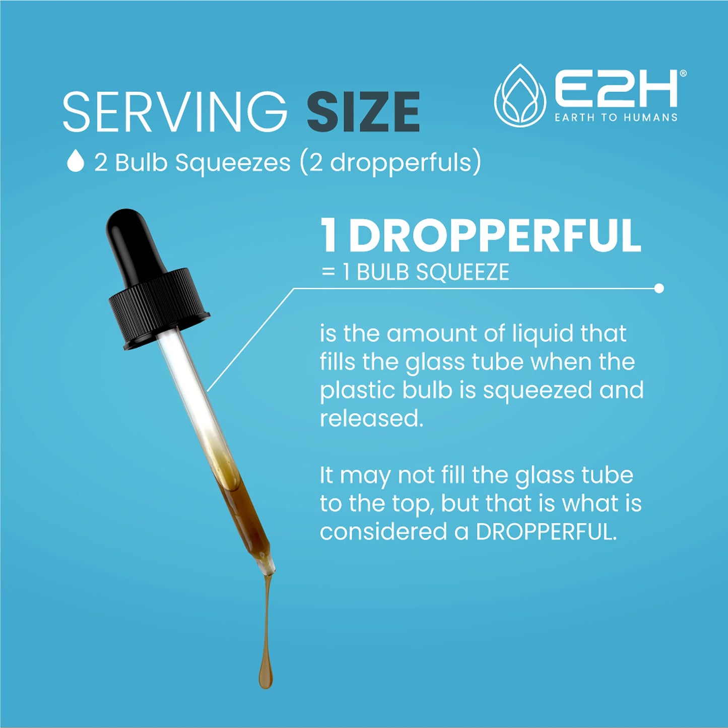 E2H Liver Support Liquid Drops – Milk Thistle Detox with Artichoke & Dandelion | 3 Bottles