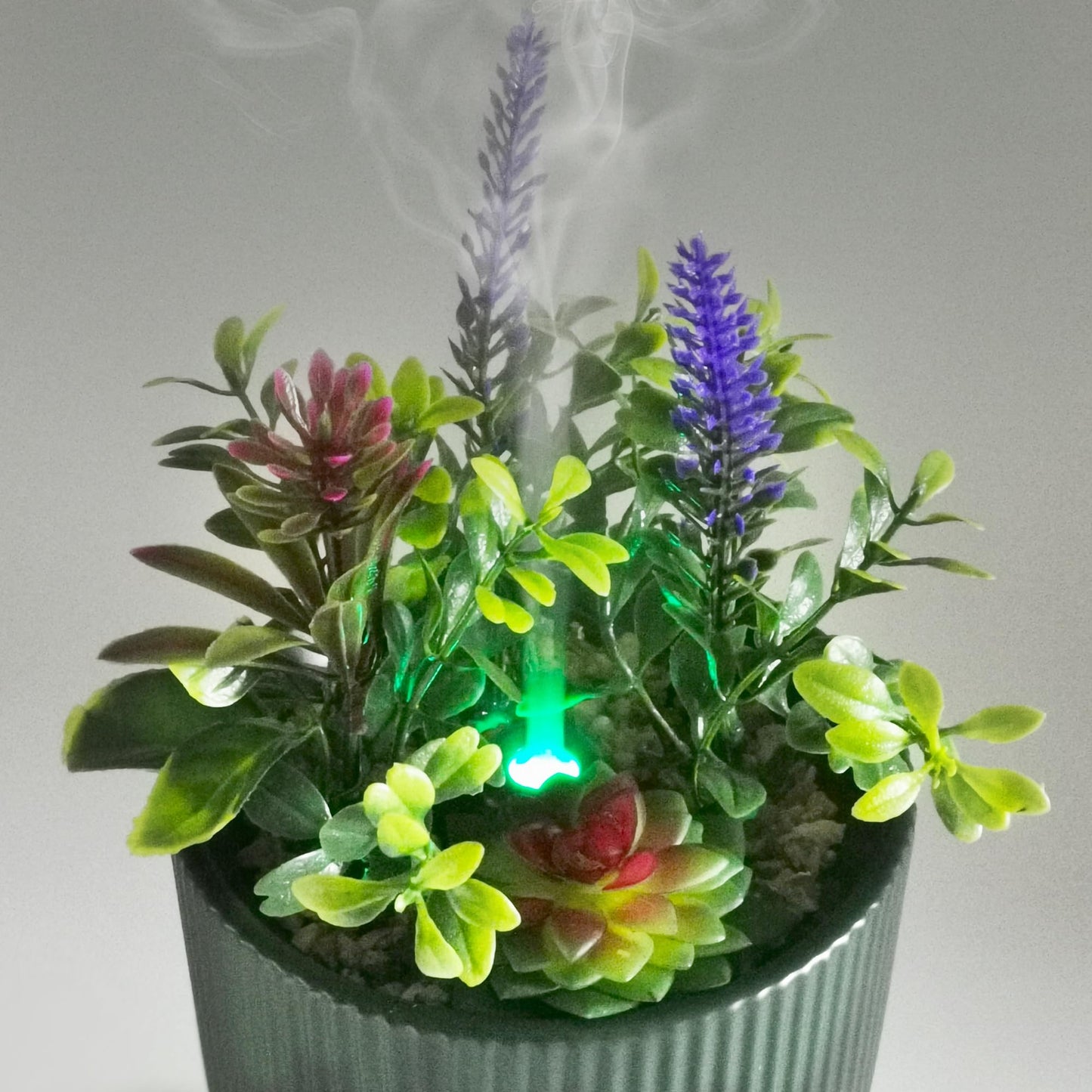 Earnest Living Ceramic Essential Oil Diffuser 100 ml – Aromatherapy Diffuser with Night Light & Auto Shut-Off
