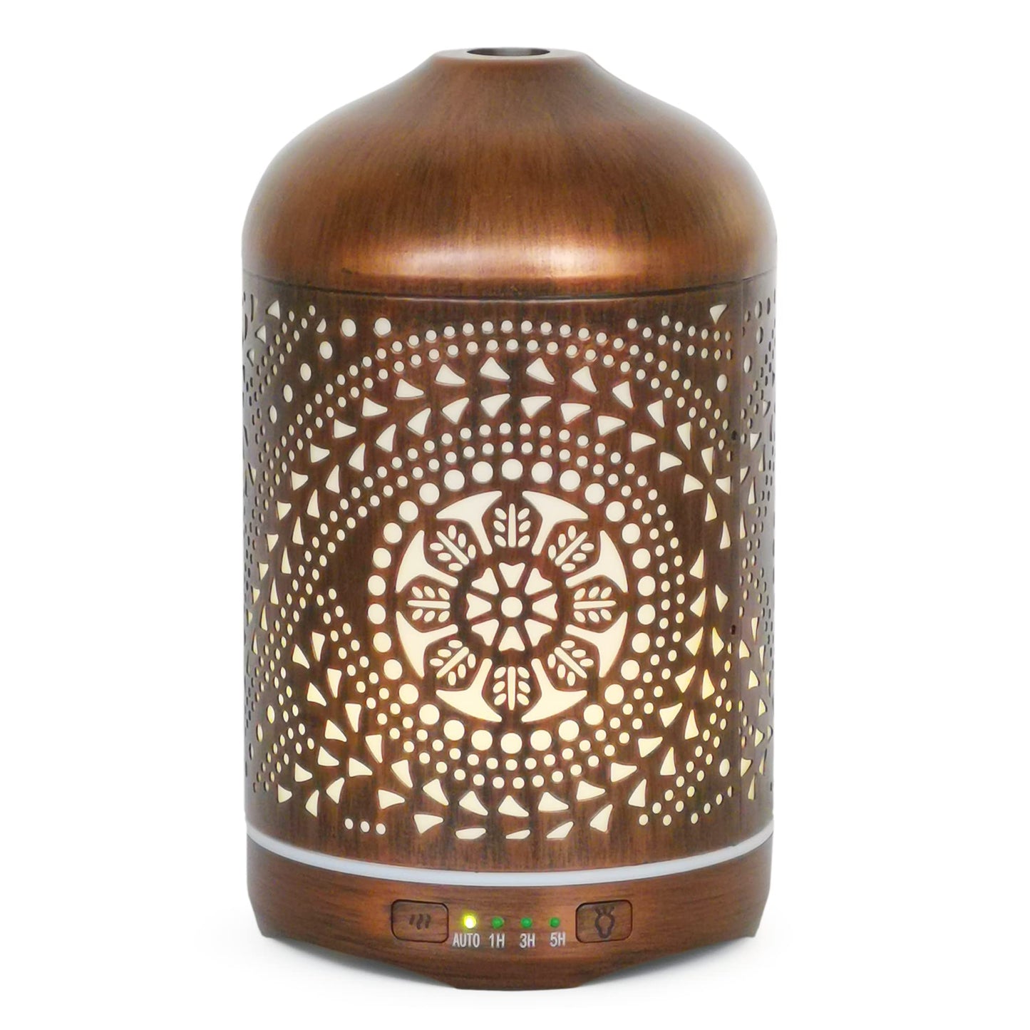 Earnest Living 250 ml Metal Essential Oil Diffuser with Auto-Off and Night Light