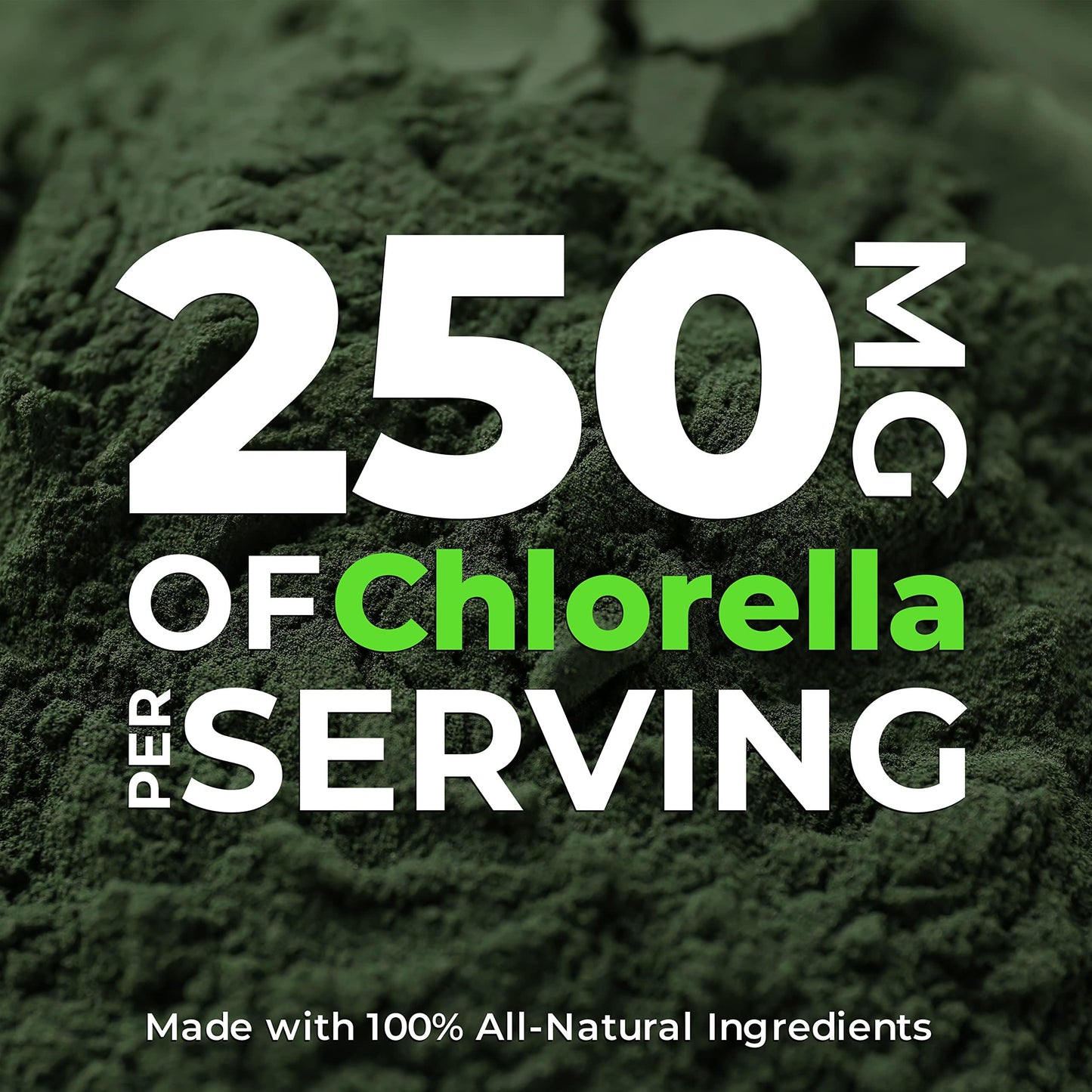 Earth Circle Organics Organic Chlorella Tablets 1000 Count | High Potency Chlorophyll Supplement | Broken Cell Wall for Absorption | Vegan, Kosher, Non-GMO | Pack of 3