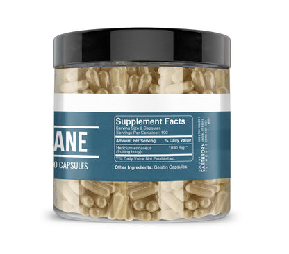 Earthborn Elements Lion’s Mane 200 Capsules – Pure & Undiluted, No Additives