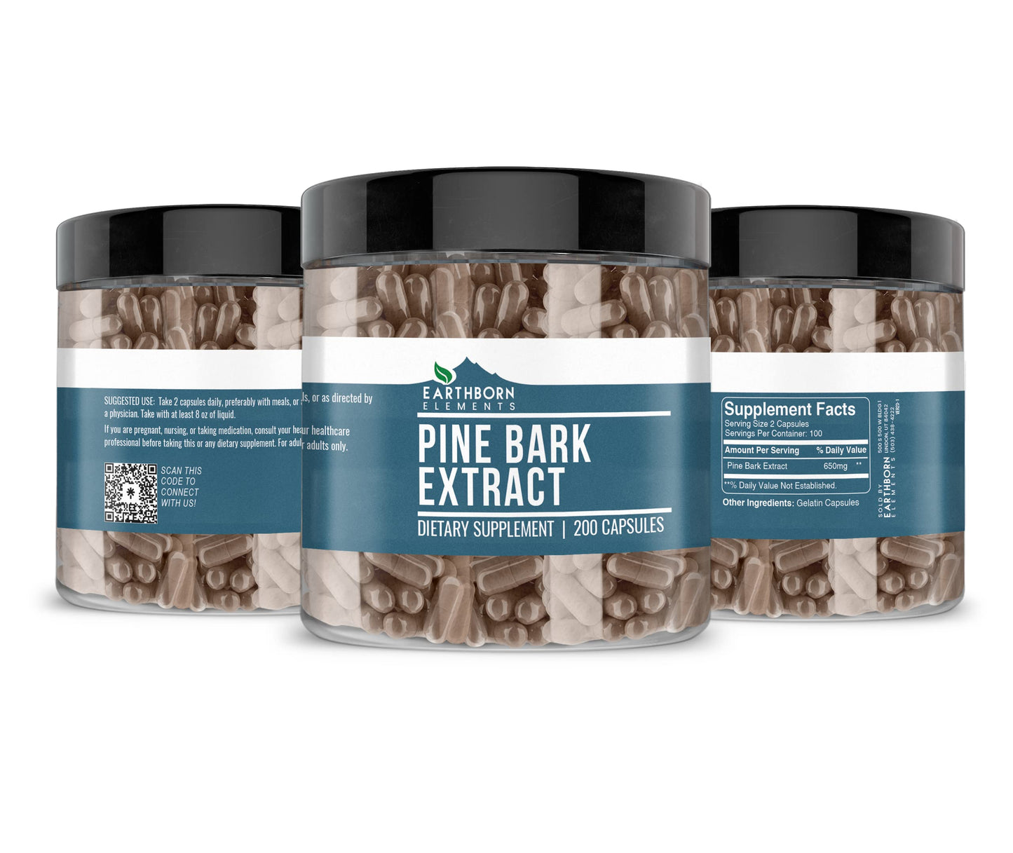 Earthborn Elements Pine Bark Extract – 200 Capsules | Pure & Undiluted