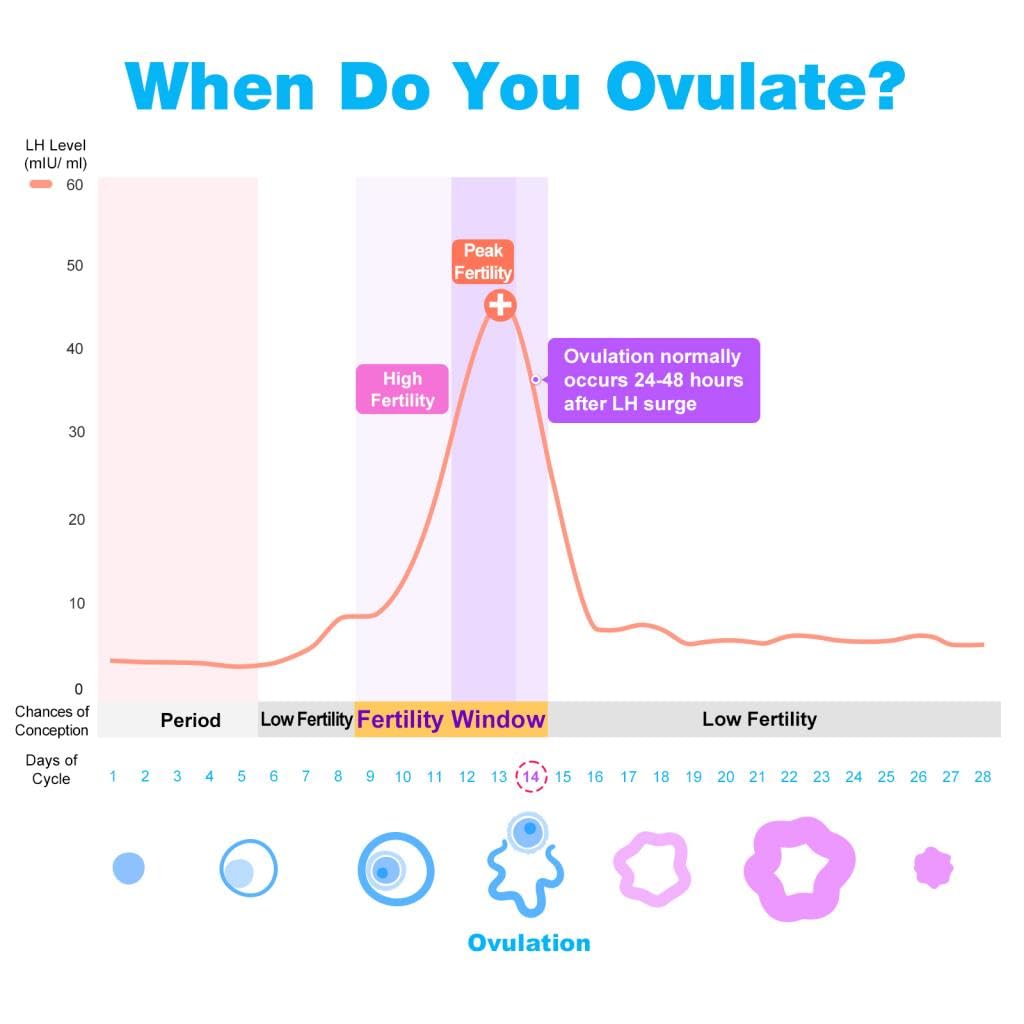 Easy@Home Ovulation & Pregnancy Test Kit – 40 LH Strips + 10 HCG Tests (Premom App)