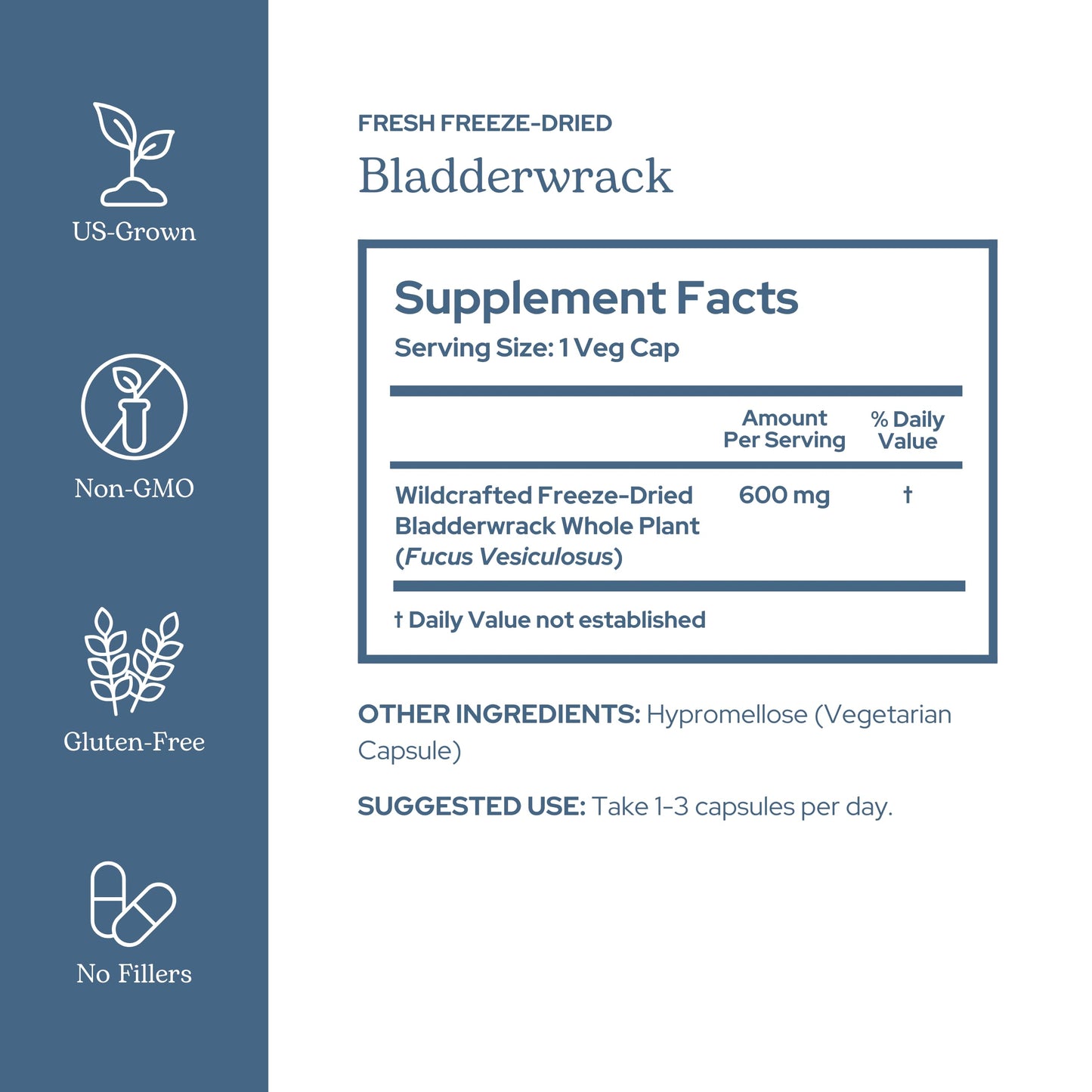 Eclectic Herb Bladderwrack Capsules — Freeze-Dried Seaweed for Endocrine Support, Skin & Hair | Vegan, Non-GMO (90 ct, 600 mg)