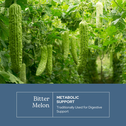 Eclectic Institute Bitter Melon 90 CT | Raw Freeze-Dried 200 mg | Non-GMO, Vegan