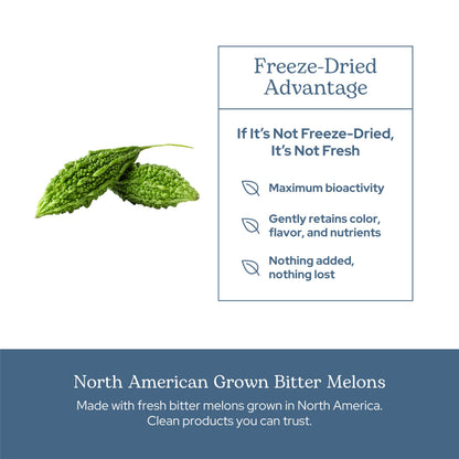 Eclectic Institute Bitter Melon 90 CT | Raw Freeze-Dried 200 mg | Non-GMO, Vegan