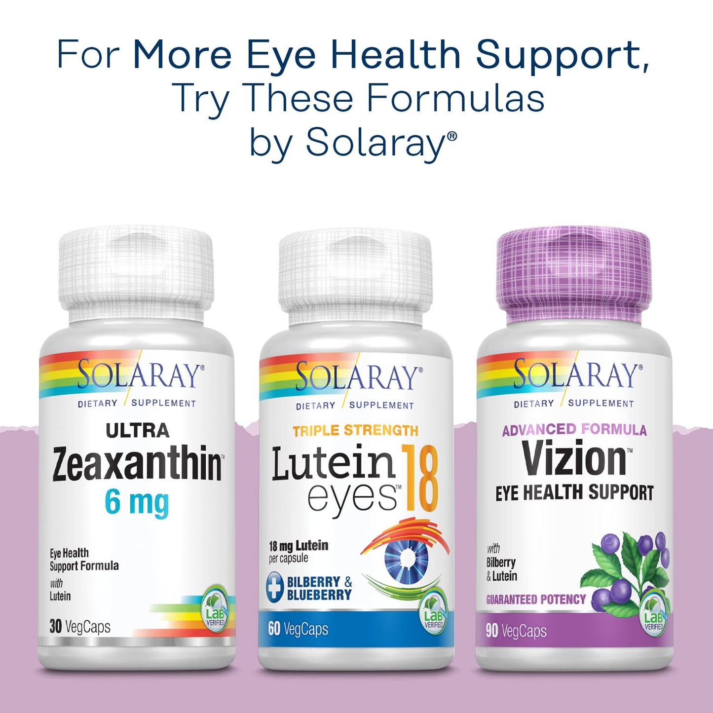 SOLARAY Bilberry Extract 42 mg – Eye Health & Circulation Support | 60 VegCaps