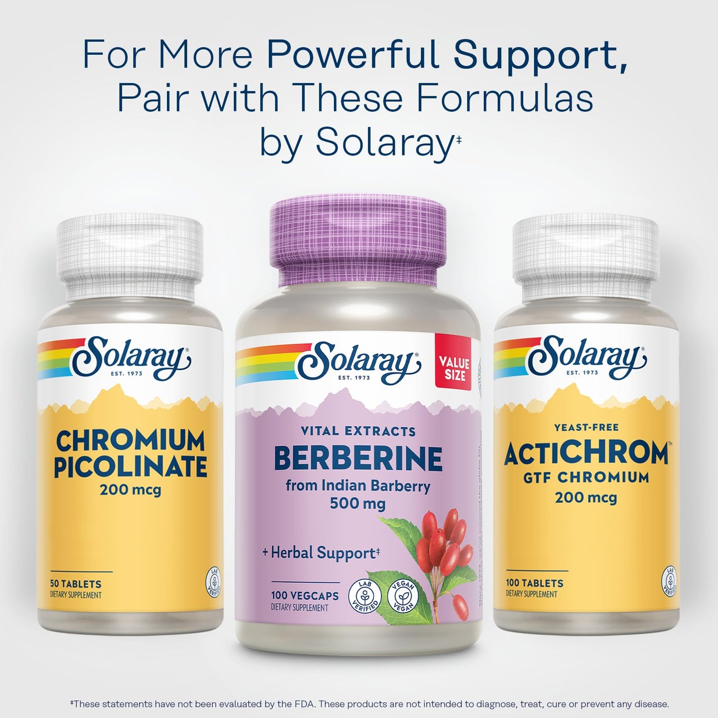 SOLARAY Berberine 500mg – Berberine HCl from Indian Barberry, Vegan, Non-GMO, 100 Servings