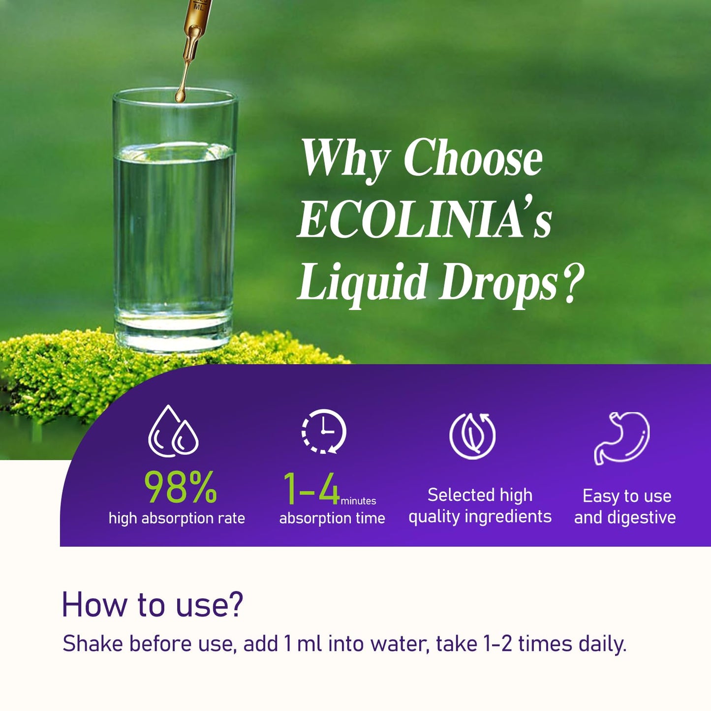 ECOLINIA Maqui Berry Drops – Eye Health, Immune & Dry Eye Support, 2 oz