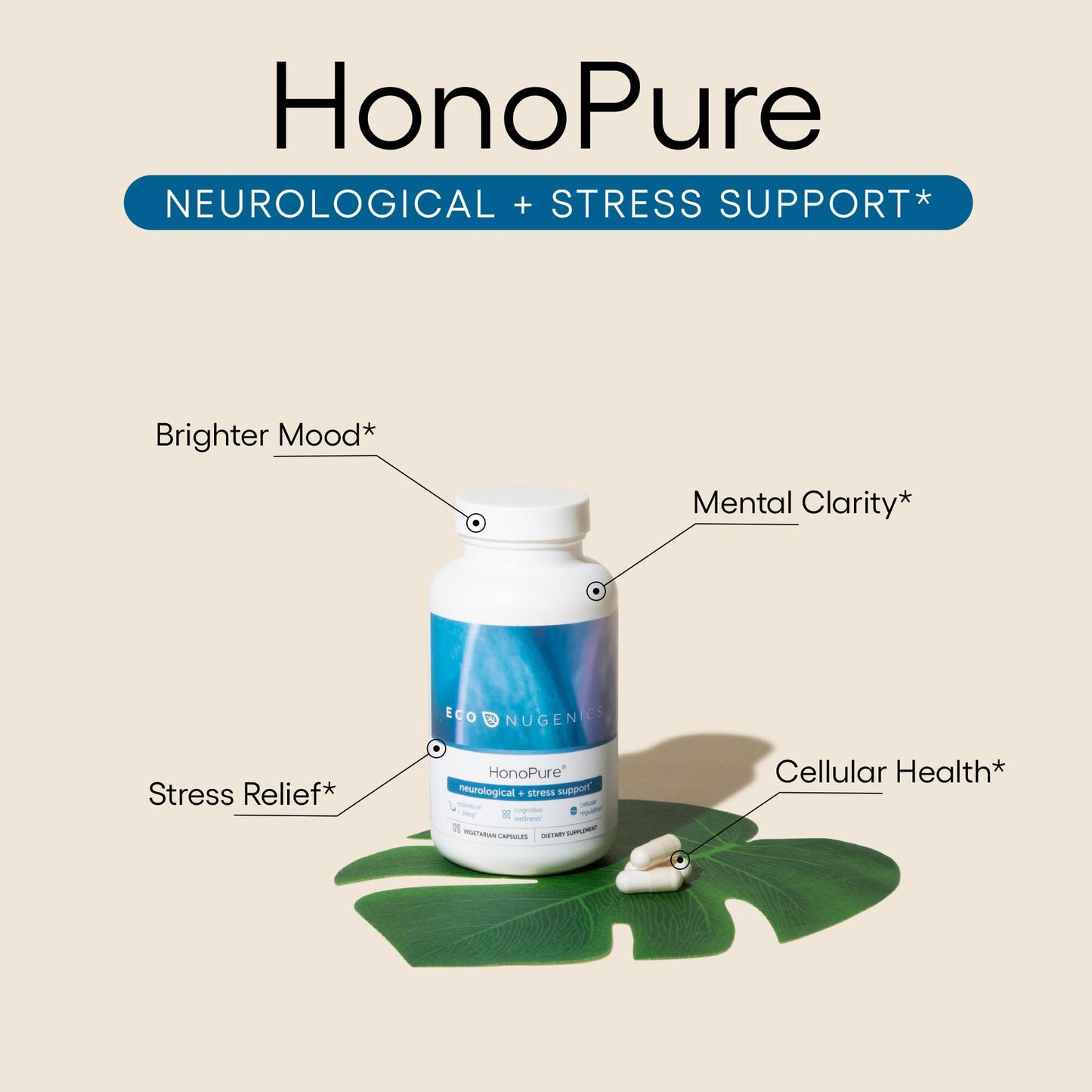 EcoNugenics HonoPure Magnolia Bark Extract – 98% Honokiol | Brain Function, Sleep & Mood Support